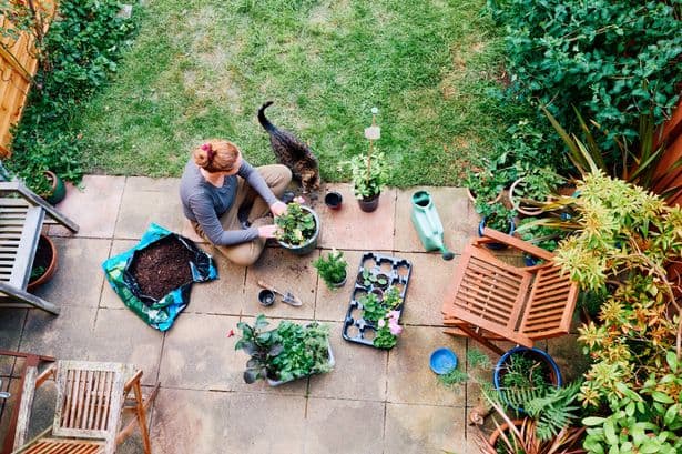 Protect bees from the heatwave by following simple two minute task from stately home's Head Gardener