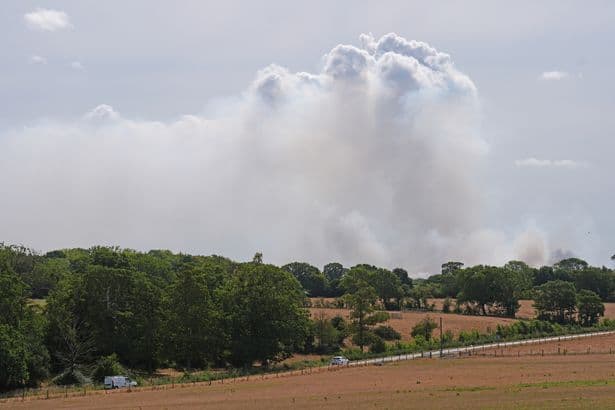 Major evacuations launched as firefighters battle Dunwich Heath wildfire