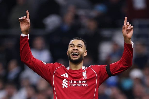 Liverpool latest: Tottenham 'eye' Cody Gakpo swoop as Bradley Barcola transfer update emerges