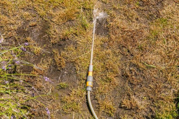 How to water your garden legally during UK hosepipe ban