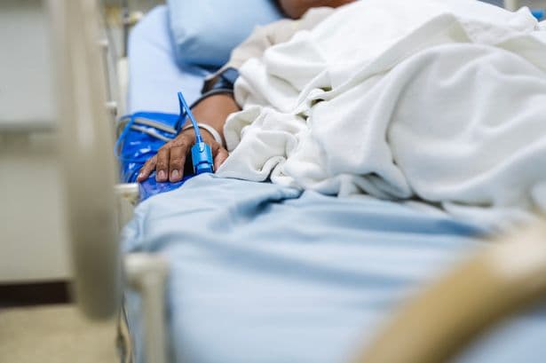 Nearly half of kidney transplants fail within 10 years, but something's changing in Manchester
