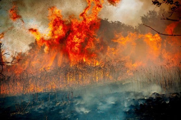 No 10 defends 'entirely right' use of emergency alerts system after millions sent wildfire warning