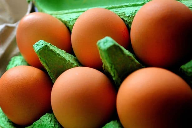 Salmonella symptoms as UKHSA confirms deadly outbreak with suspected link to eggs