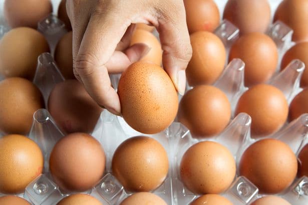 FSA issues egg safety advice after deadly salmonella outbreak confirmed