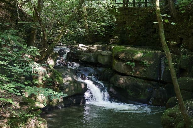 The Greater Manchester beauty spot with waterfalls and woodlands named one of the North's top 10 hidden gems