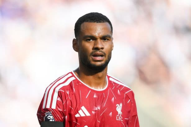 Man City 'make contact' for Cody Gakpo transfer as Liverpool star handed shock option