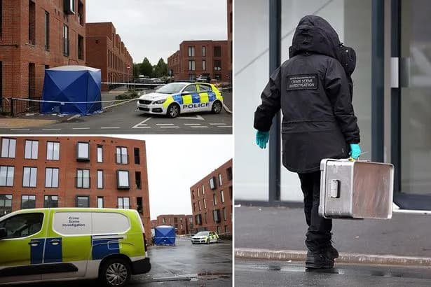 Man fights for life following balcony plunge horror as police question attempted murder suspect