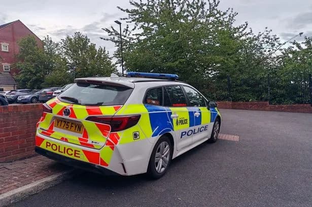 Police in Sheffield given more time to question five arrested over death of newborn girl