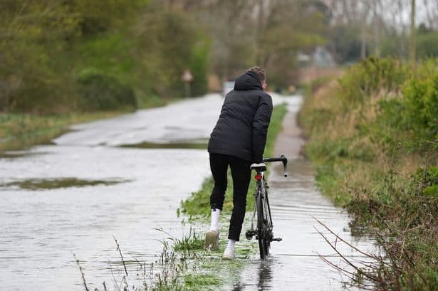 'Unprecedented' El Nino could lead to extreme storms and rising food prices