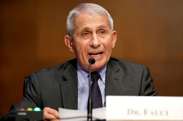 Anthony Fauci pleads the Fifth over 100 times in bizarre Senate spectacle