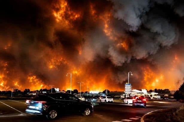 France wildfires live: Astonishing arrests as 42C heatwave threatens Bordeaux