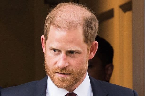'Royal shake-up could prove decisive for Prince Harry's public reunion with King Charles'