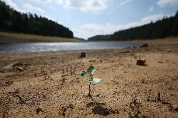 UK heatwave to remain until September with fears of more drought and death toll set to be highest on record