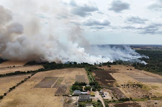 'Summer holidays quickly turned to horror in scenes from disaster movies as wildfire ravaged Suffolk'