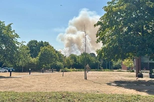 UK wildfires live: Colchester and Dunwich Heath blazes rage as huge areas scorched