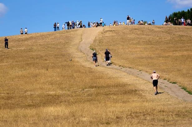 Met Office confirms July is driest on record as heatwaves plunge UK into drought