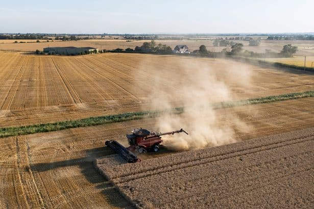 UK 'facing food shortages' after four heatwaves in a single year as drought hits critical crops