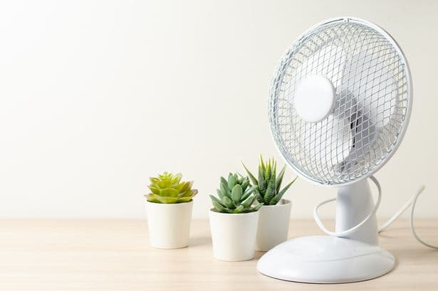 B&Q issues urgent fan recall during heatwave amid 'electric shock and fire' warning
