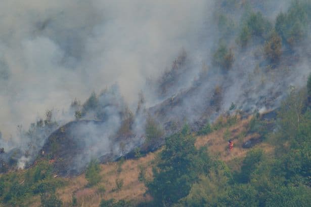 Supermarkets including Tesco and Sainsbury's pull disposable BBQs from sale after wildfire warning