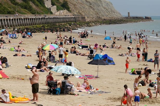 Amber heat health alerts issued across almost ALL of England as mercury forecast to hit 36C this week