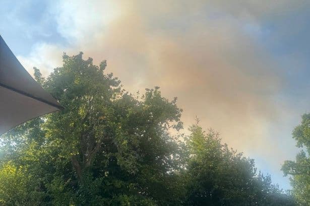 A31 fire live: New Forest wildfire breaks out as drivers told 'flee if you want to stay alive'