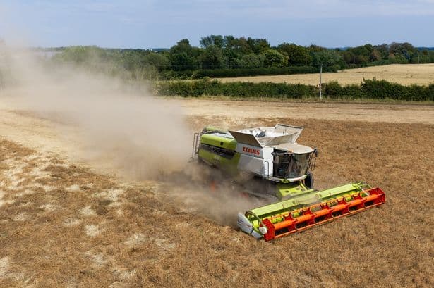 Dustbowl Britain facing 'worst food security crisis in decades' and risk of empty shelves