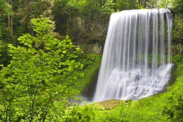 Tourist, 20, plunges 177 feet to his death taking photo from Silver Falls State Park waterfall