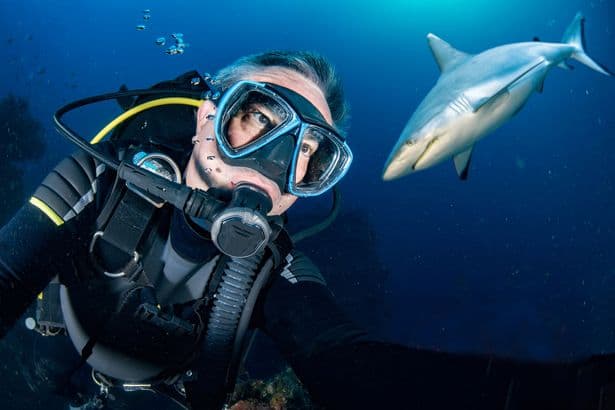 Influencers urged to stop taking selfies with sharks after trend takes dark turn