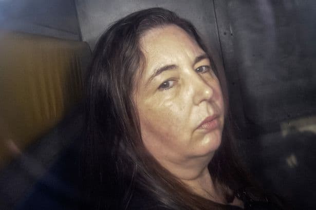 Mushroom poisoner Erin Patterson back in court to fight life sentence for killing family with beef Wellington