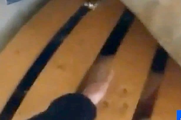 Moment police find woman who plotted knife attack on partner hiding under bed after two-day manhunt