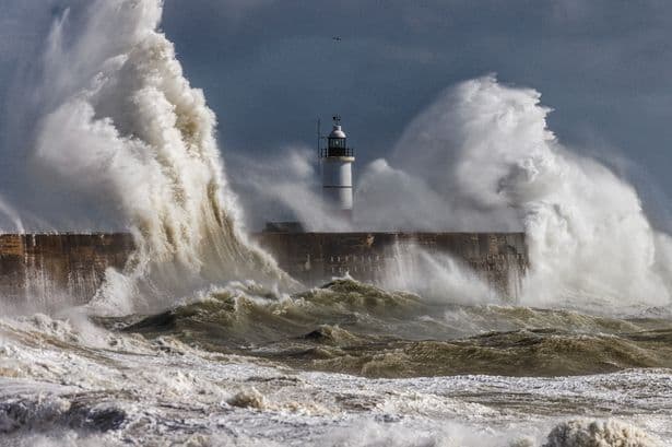 Most 'intense' El Nino in living memory could bring global storms, drought and record heat