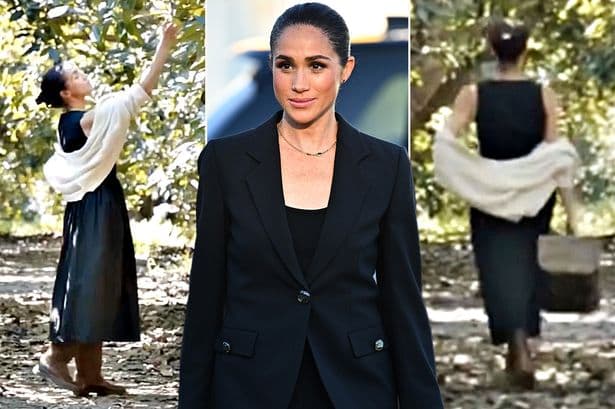 Meghan Markle drops cryptic ‘little hint’ in first social media move since UK return announced