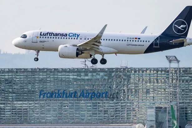 Two Frankfurt Airport workers die of malaria and others infected after mosquitoes arrive on plane
