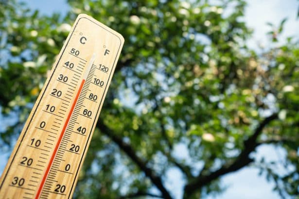 Fifth UK heatwave with 27 counties set to sizzle as temperatures hit 36C – full list of areas