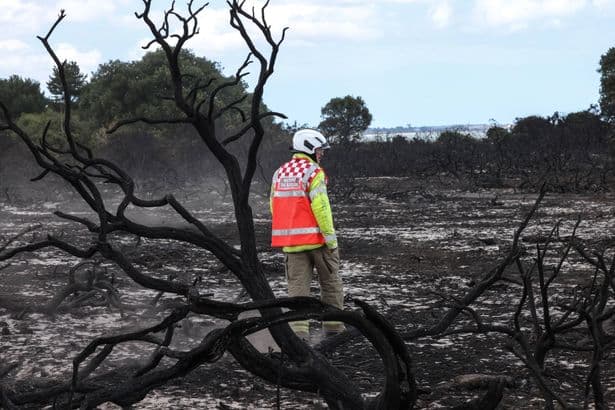 Suffolk wildfire: National Trust launches emergency appeal to restore Dunwich Heath