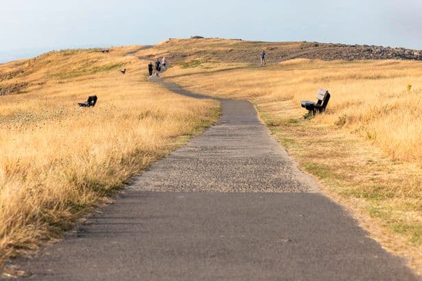 Drought declared across whole of Wales
