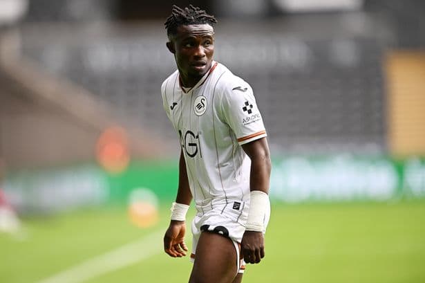 Swansea City player ratings as new signing impresses but defender has day to forget