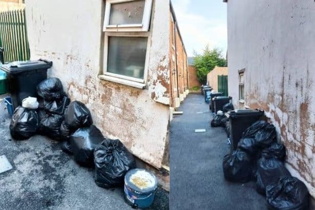 Awful state of new homes in Mold where bins have never been collected and residents are livid