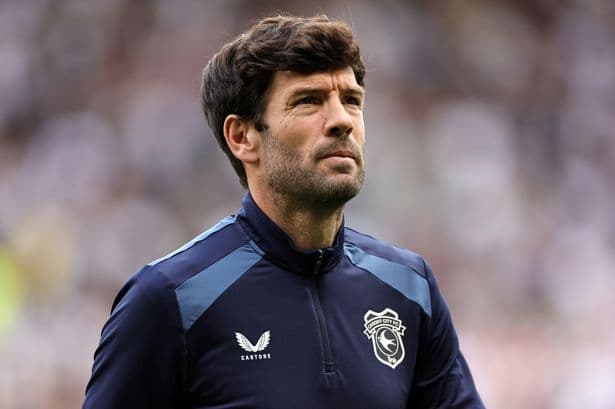 Brian Barry-Murphy expects new Cardiff City signings by Tuesday as situation can't go on