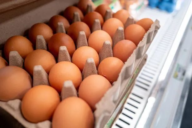Salmonella cases in Wales rise, including seven in the last 10 days