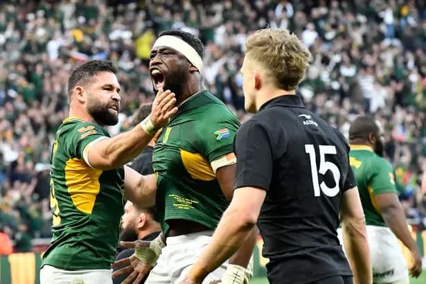 Springboks hold off All Blacks as world's new best rugby team confirmed