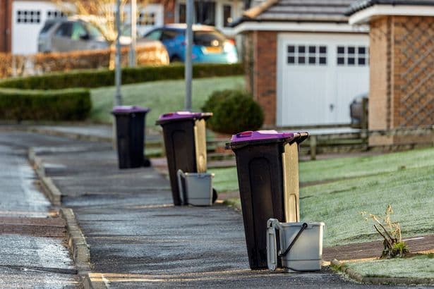 'Neighbour keeps using my bins and it’s driving me mad' - legal rights explained