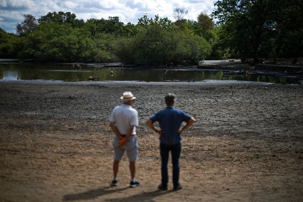Amber health warnings start ahead of fifth heatwave as 45m in drought
