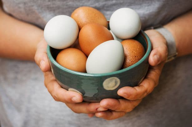 Welsh households urged to check eggs after salmonella outbreak