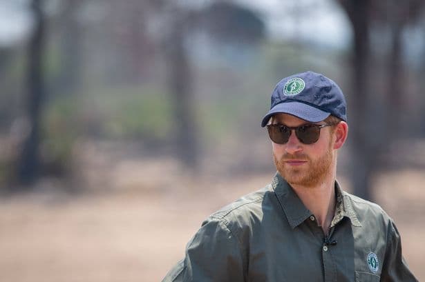 Prince Harry steps down from controversial charity as he returns to live in UK