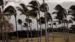 1 dead as Hurricane Lala avoids landfall on Hawaii's Big Island