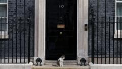 Fake 10 Downing Street listing exposes 'unfit' Booking.com, says consumer group