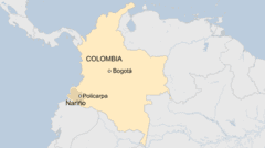 Landslide at unlicensed Colombian gold mine kills 13
