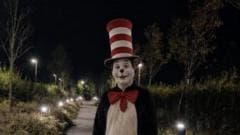 Viral 'Cat in the Hat' TikTok trend sparks fun fake videos but also real fear