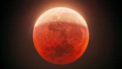 Moon set to turn red as rare partial lunar eclipse graces UK skies